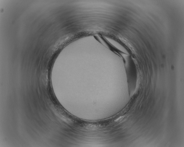 X0000088380494200706191311