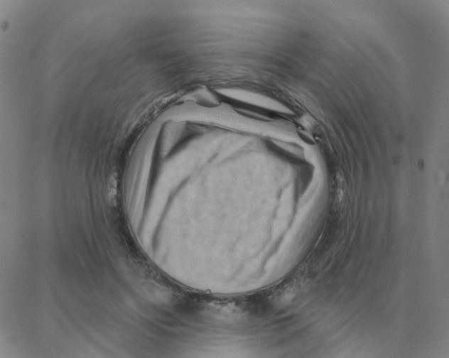 X0000088380502200706191311
