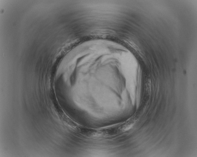 X0000088380504200706191311