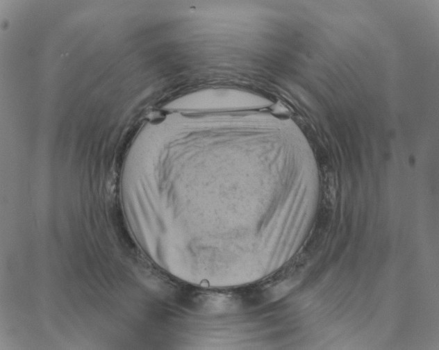X0000088380507200706191311