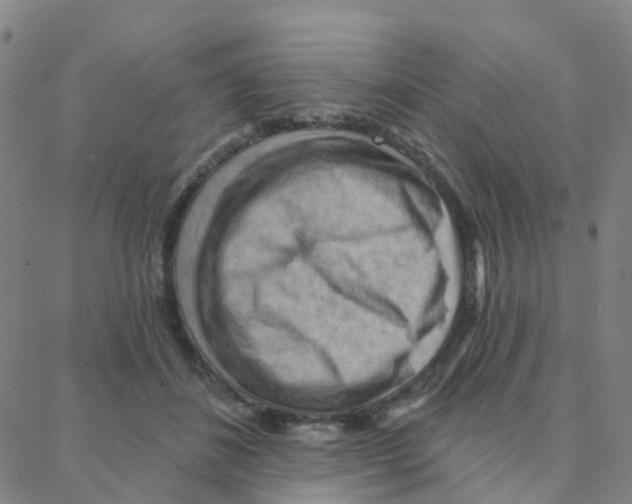 X0000088380508200706191311