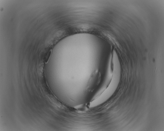 X0000088380509200706191311