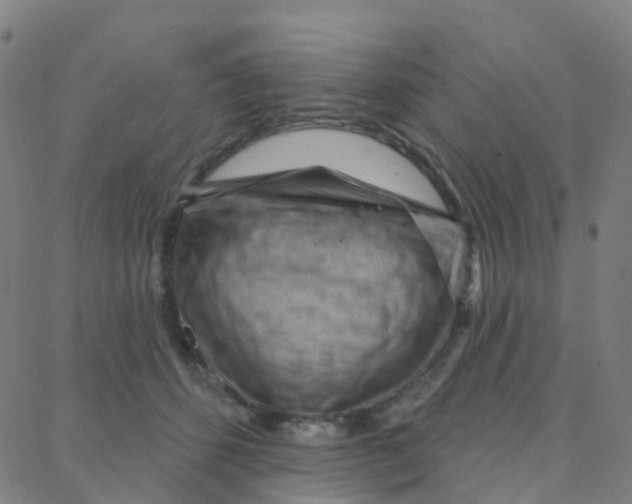 X0000088380512200706191311