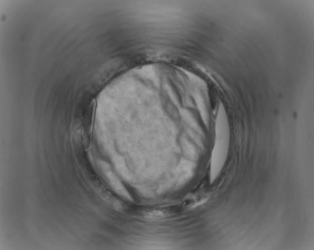 X0000088380513200706191311
