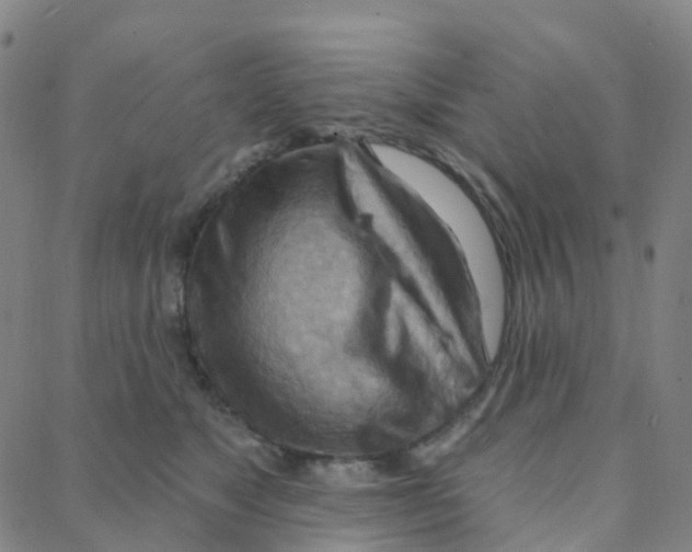 X0000088380517200706191311