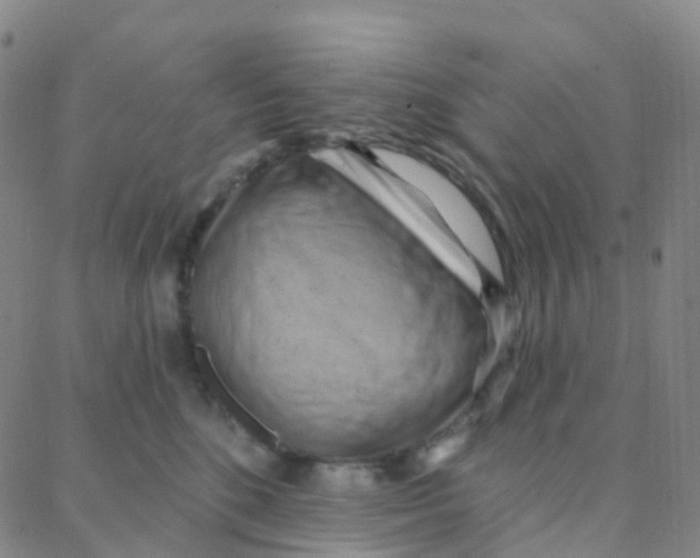 X0000088380520200706191311
