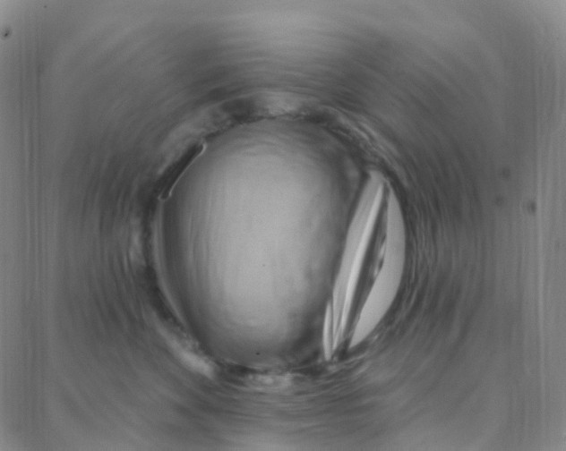 X0000088380524200706191311