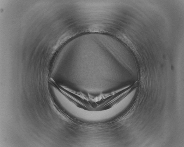 X0000088380530200706191310