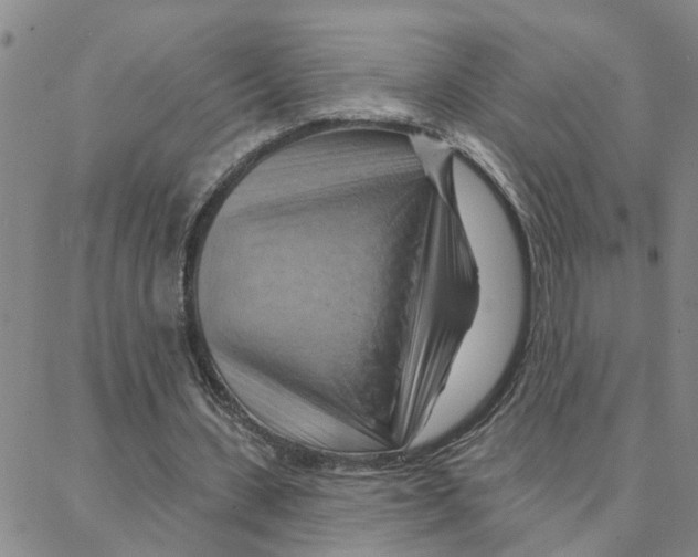 X0000088380531200706191310