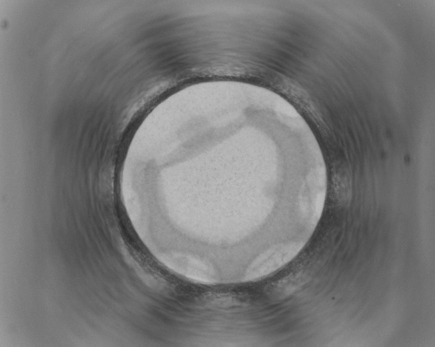 X0000088380534200706191310