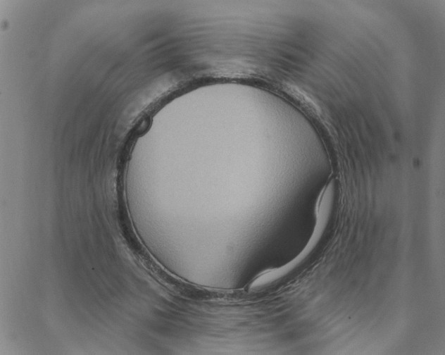 X0000088380535200706191310