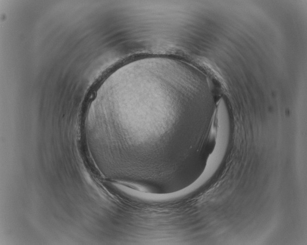 X0000088380536200706191310