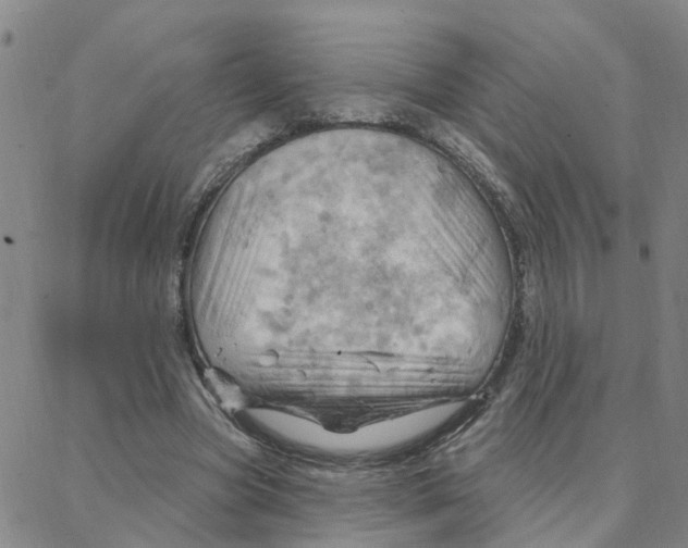 X0000088380537200706191310