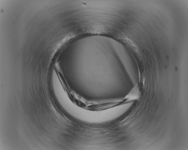X0000088380540200706191310