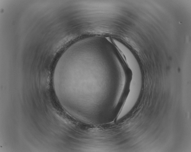 X0000088380544200706191310