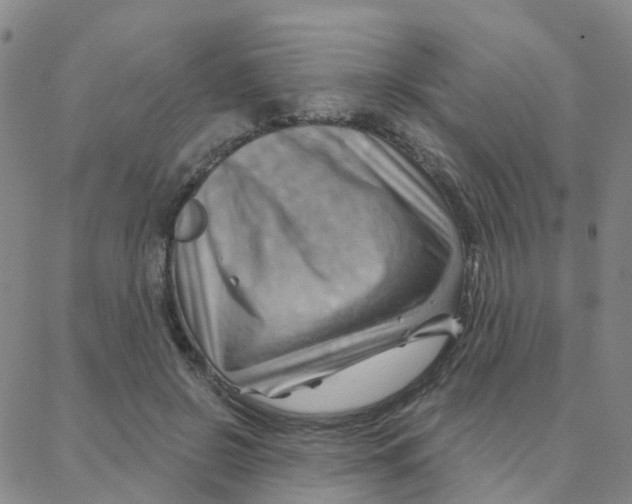 X0000088380550200706191310