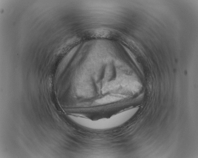 X0000088380551200706191310