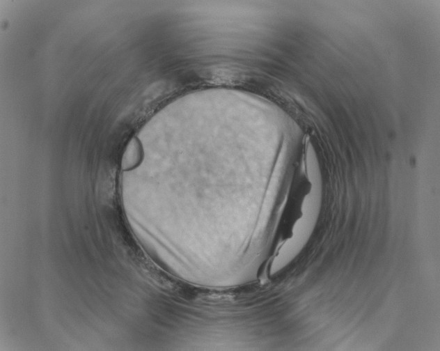 X0000088380554200706191310