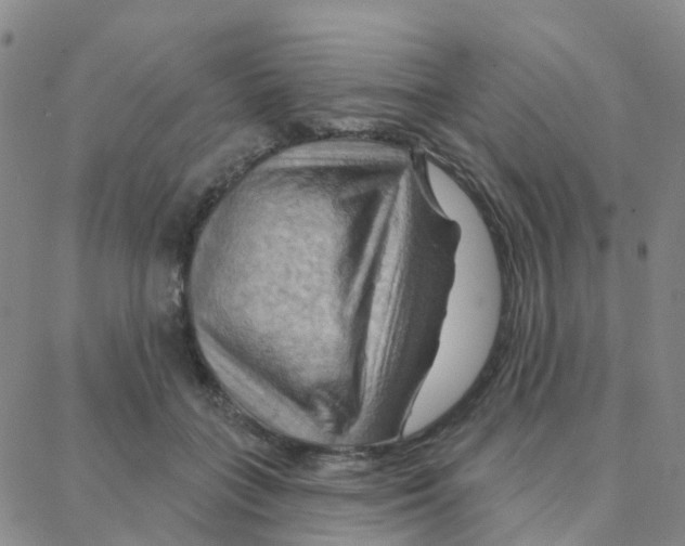 X0000088380555200706191310