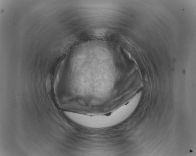 X0000088380562200706191311