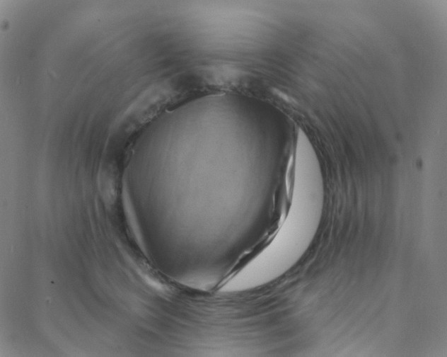 X0000088380566200706191311