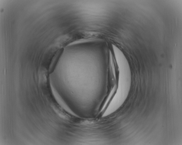 X0000088380570200706191311