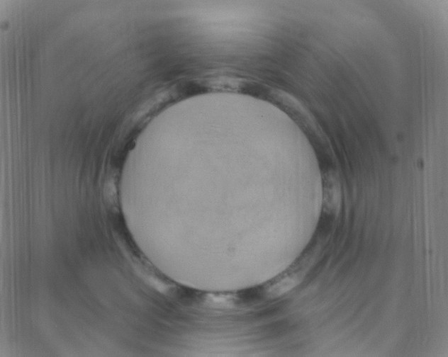 X0000088380573200706191311