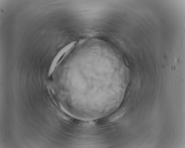 X0000088380576200706191311