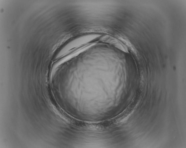 X0000088380585200706191310