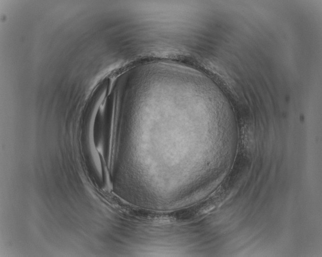 X0000088380587200706191310