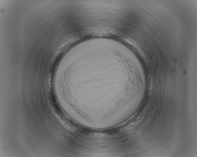 X0000088380590200706191310