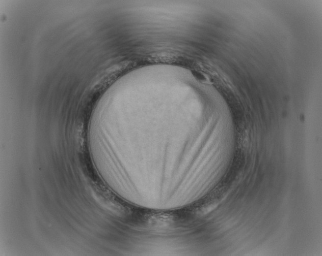 X0000088380599200706191310