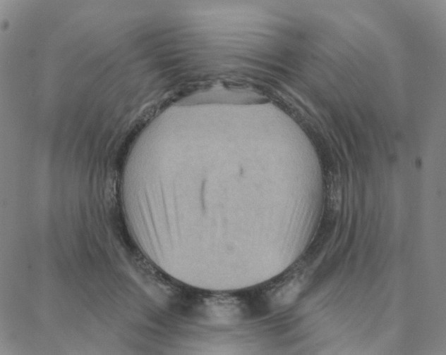 X0000088380603200706191310