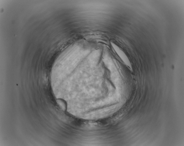 X0000088380607200706191310