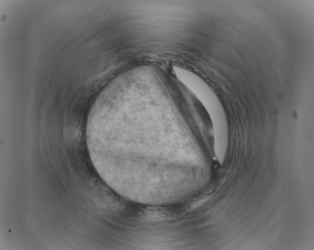 X0000088380608200706191309