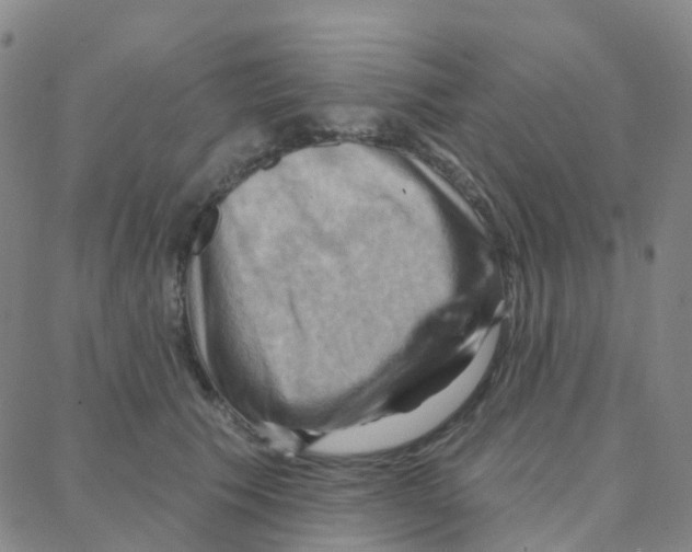 X0000088380609200706191309