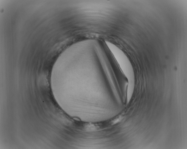 X0000088380616200706191309