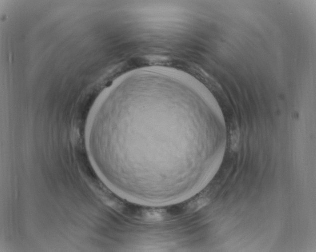 X0000088380618200706191309