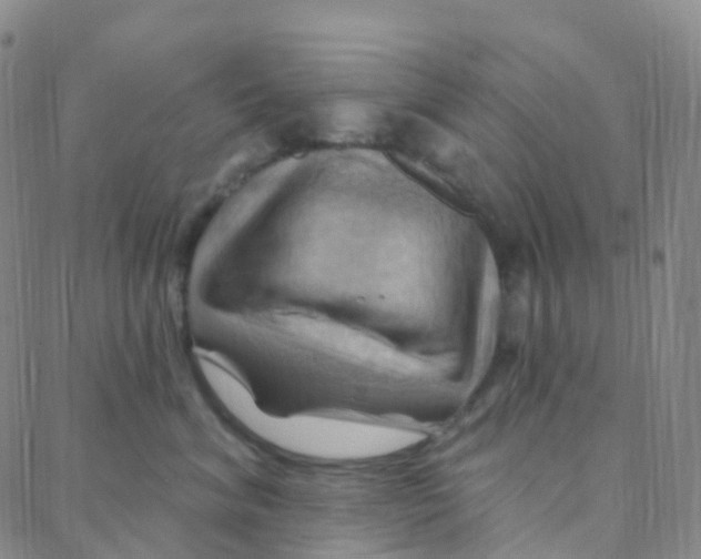 X0000088380620200706191309