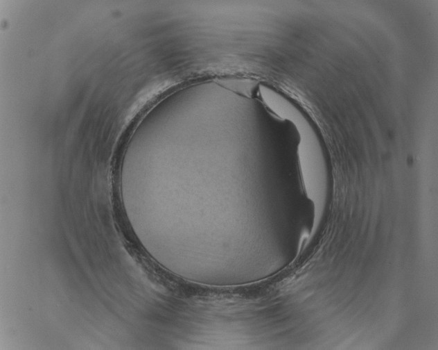 X0000088380626200706191308