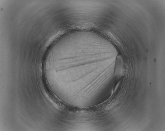 X0000088380634200706191309