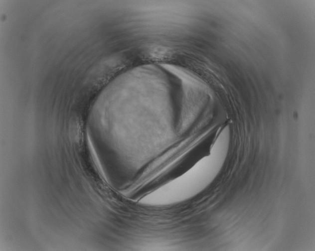 X0000088380651200706191309