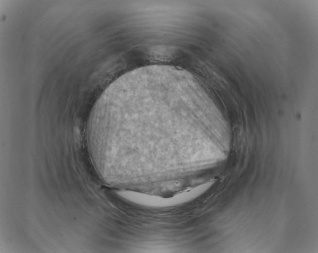 X0000088380655200706191309