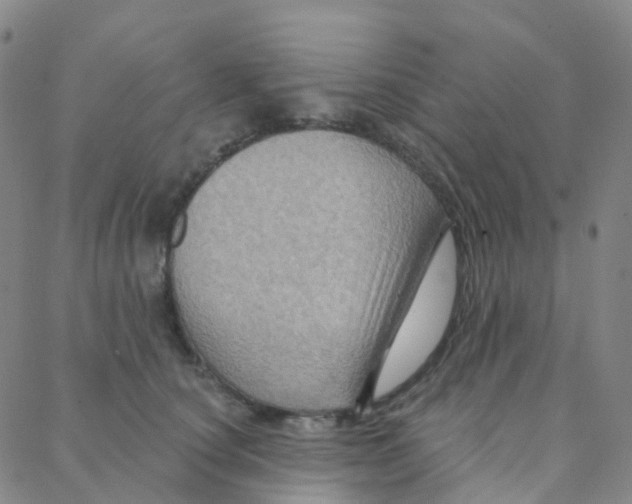 X0000088380660200706191309
