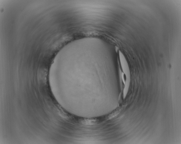 X0000088380664200706191309