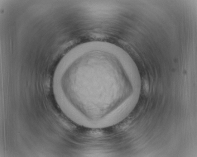 X0000088380668200706191309