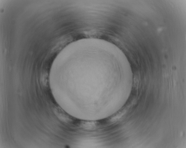 X0000088380671200706191309