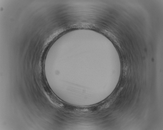 X0000088380674200706191308