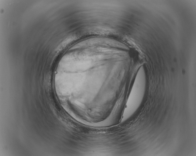 X0000088380679200706191308