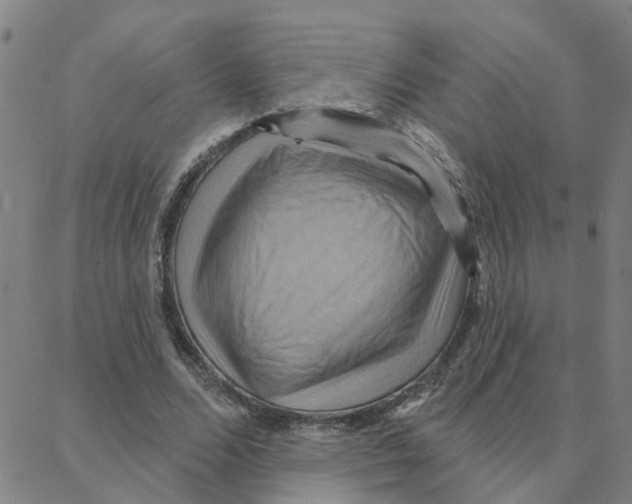 X0000088380680200706191308